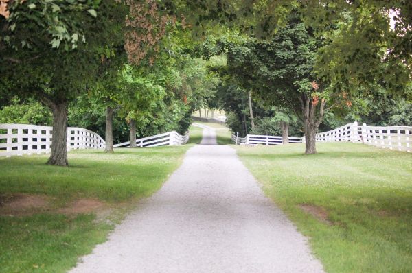Cost of Gravel Road Installation in Poulsbo