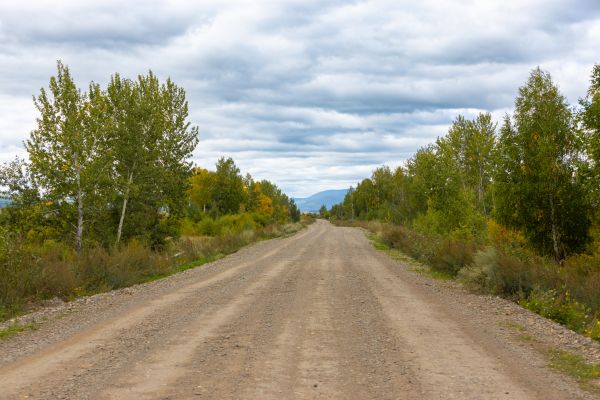 Dirt Road Repair in Poulsbo